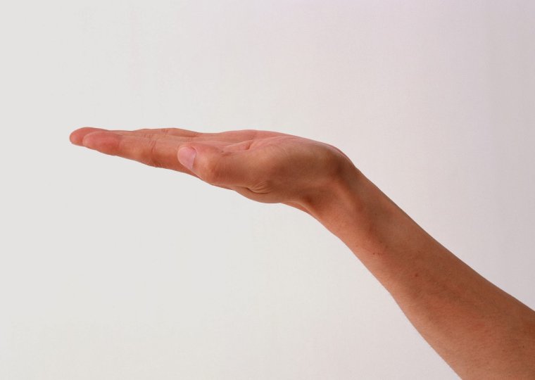 Вытянутая ладонь