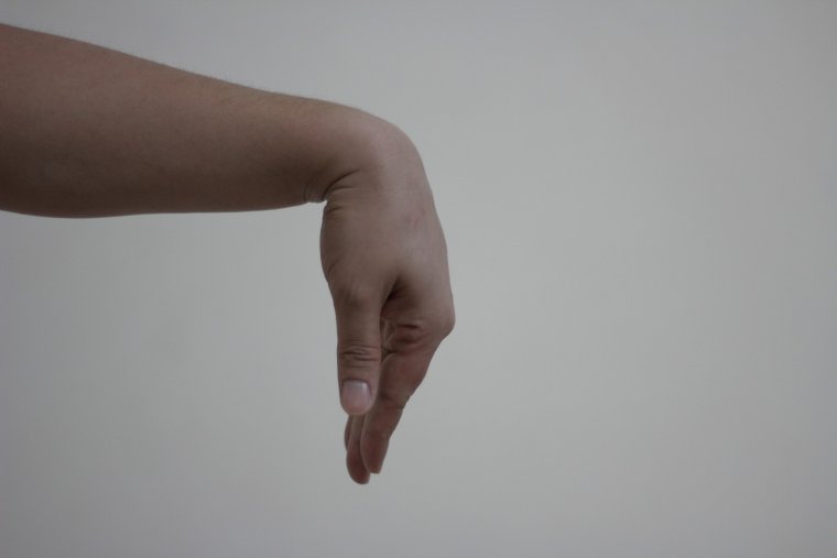 Согнутая ладонь