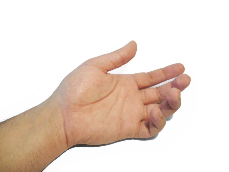 Правая ладонь