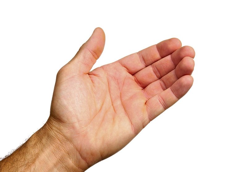 Женские руки вверх