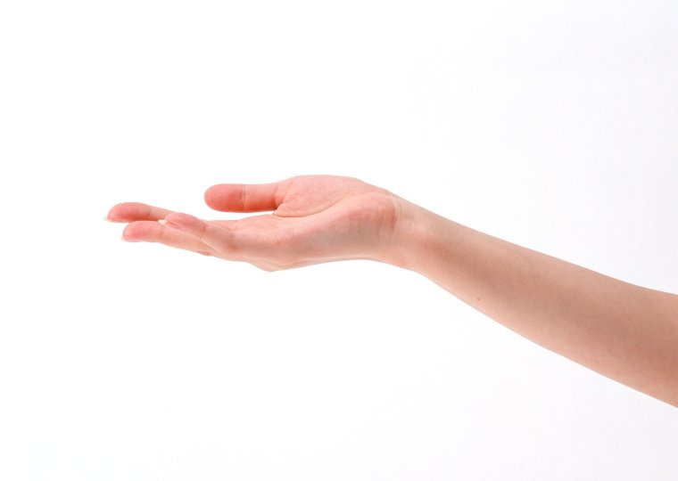 Раскрытая ладонь