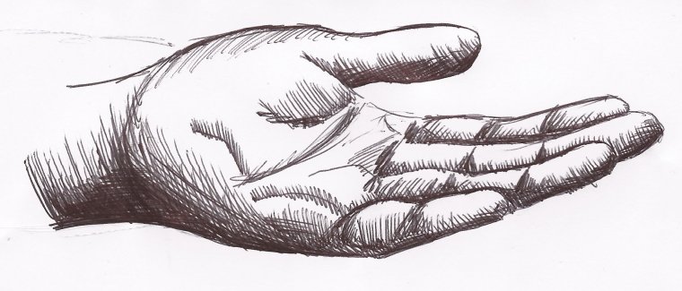 Мужская рука ладонью вверх