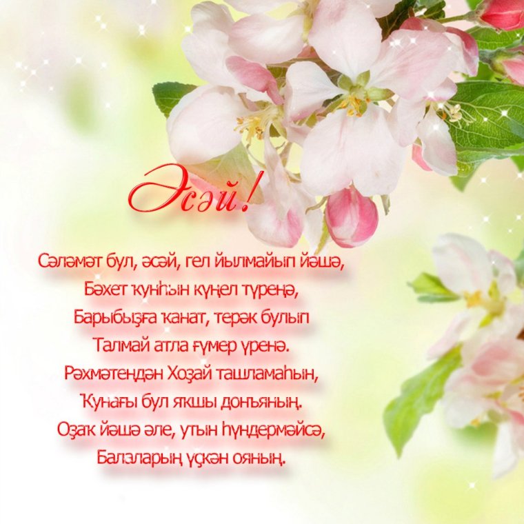 Поздравления с днём рождения на татарском языке