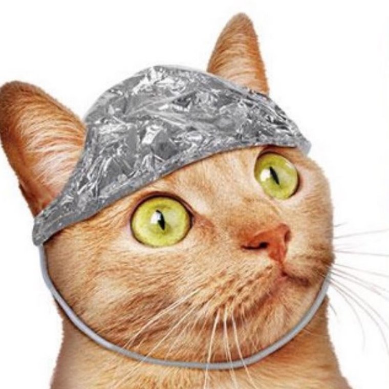 Кот в шапке из фольги