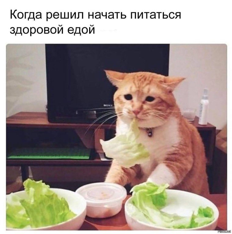 Невкусно и грустно