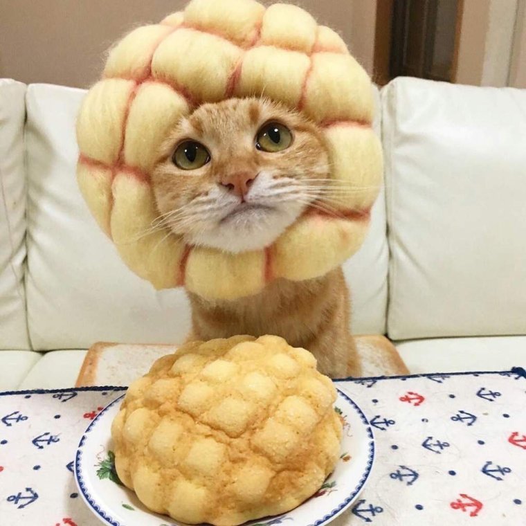 Кот с пирогом