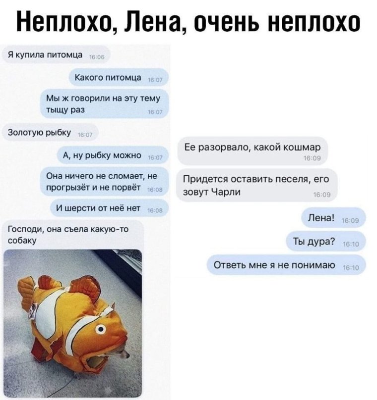 Купила рыбку она съела собаку