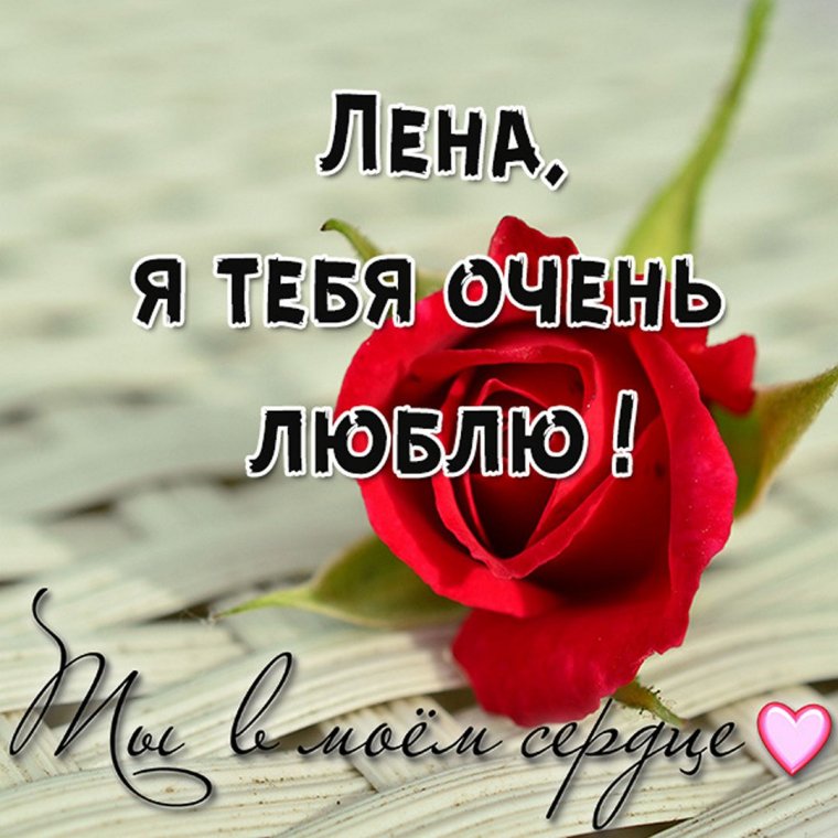 Люблю тебя Леночка
