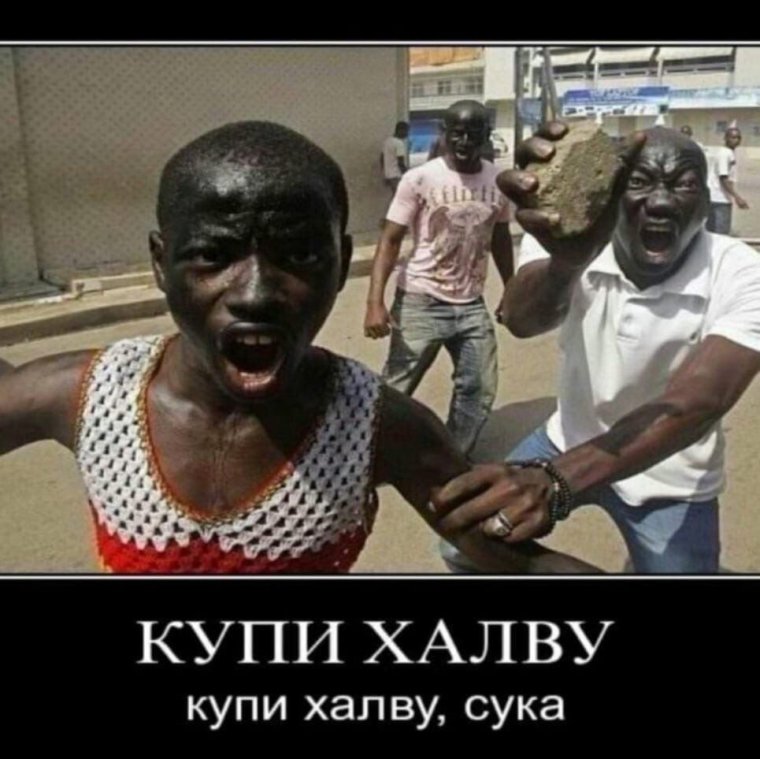 Шакил о Нил Мем