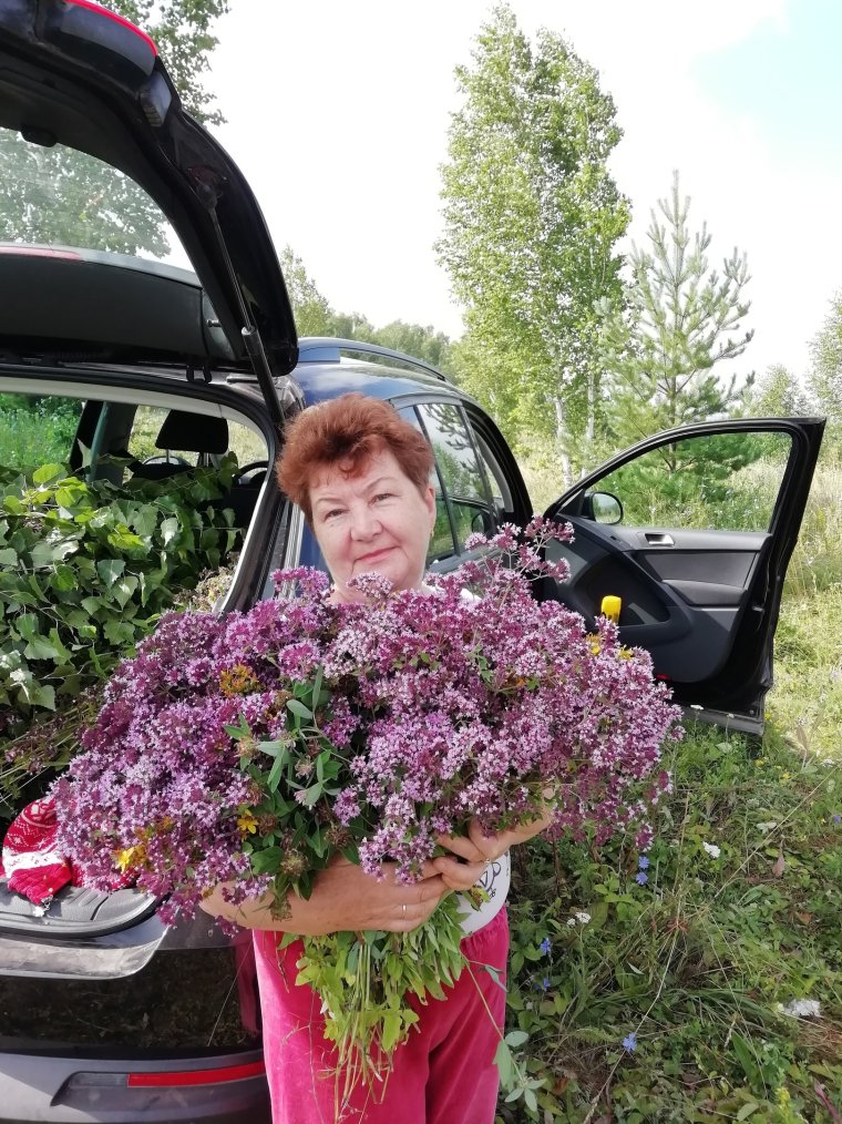 Белебей Пионерская 67