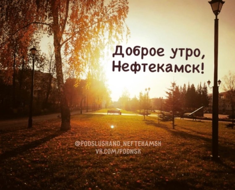 Пиццерия феста Белебей