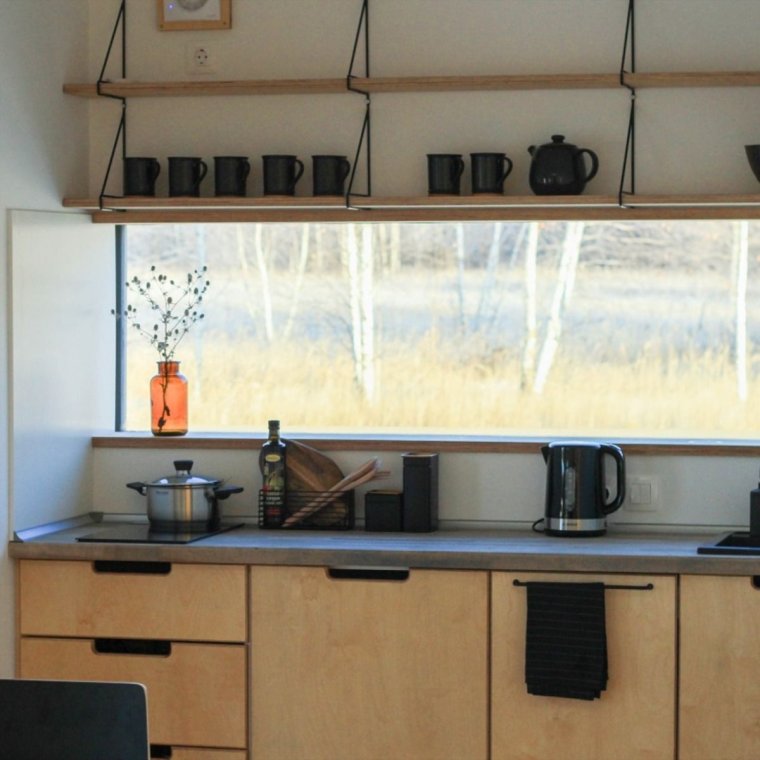 Скаут дача 25