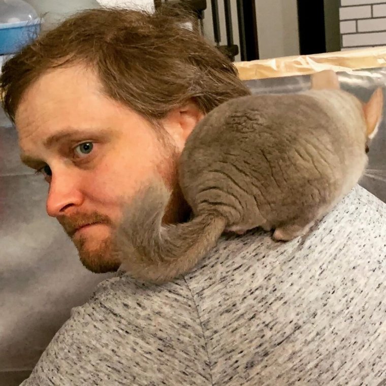 Куплинов плей арт