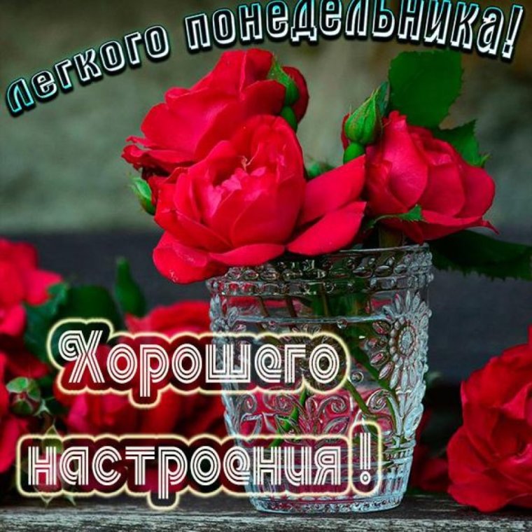 Хорошего понедельника и отличного настроения