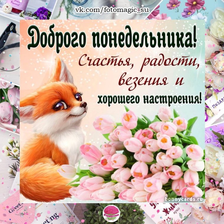 Доброго понедельника