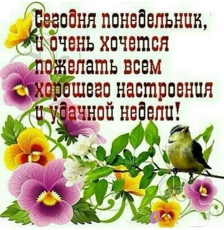 Поздравление с понедельником