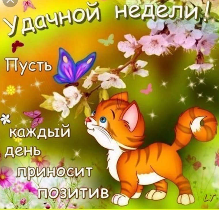 Красивое поздравление с понедельником