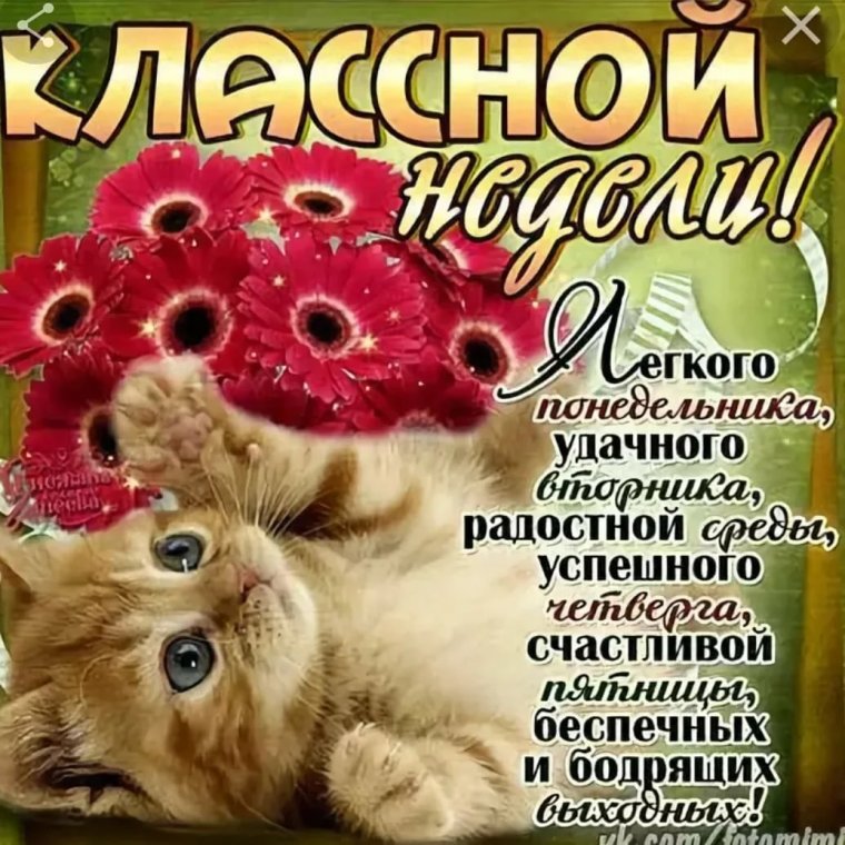 Легкой недели