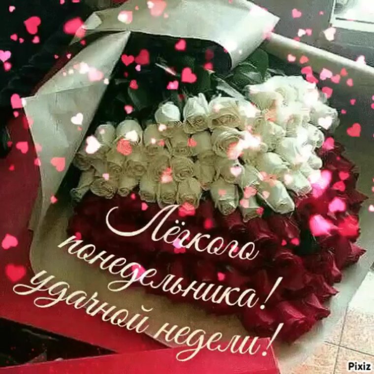 Лёгкого зимнего понедельника и удачной недели