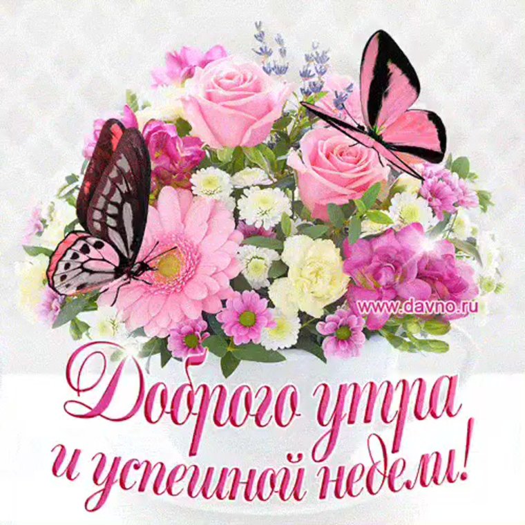 Хорошего начала недели