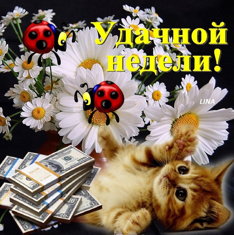 Поздравление с понедельником