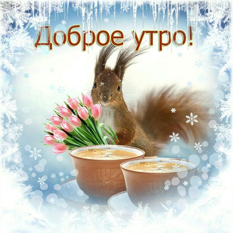 Доброе утроьпонедельника