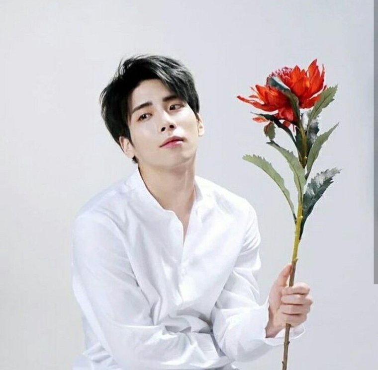 ДЖОНХЕН Эстетика