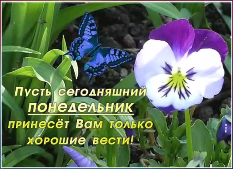 Хорошего настроения в понедельник