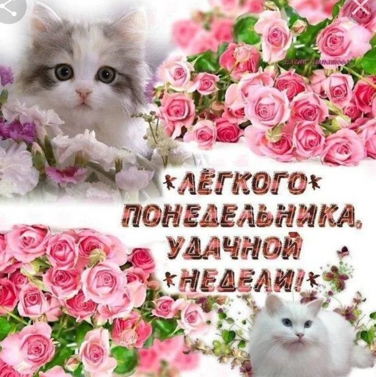 Открытки с добрым понедельником