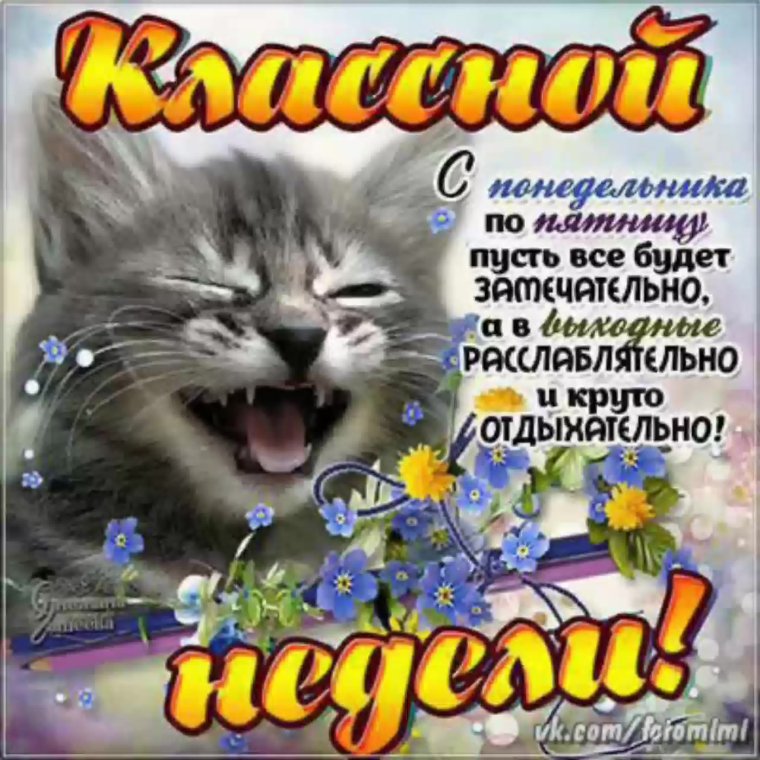 Красивое поздравление с понедельником