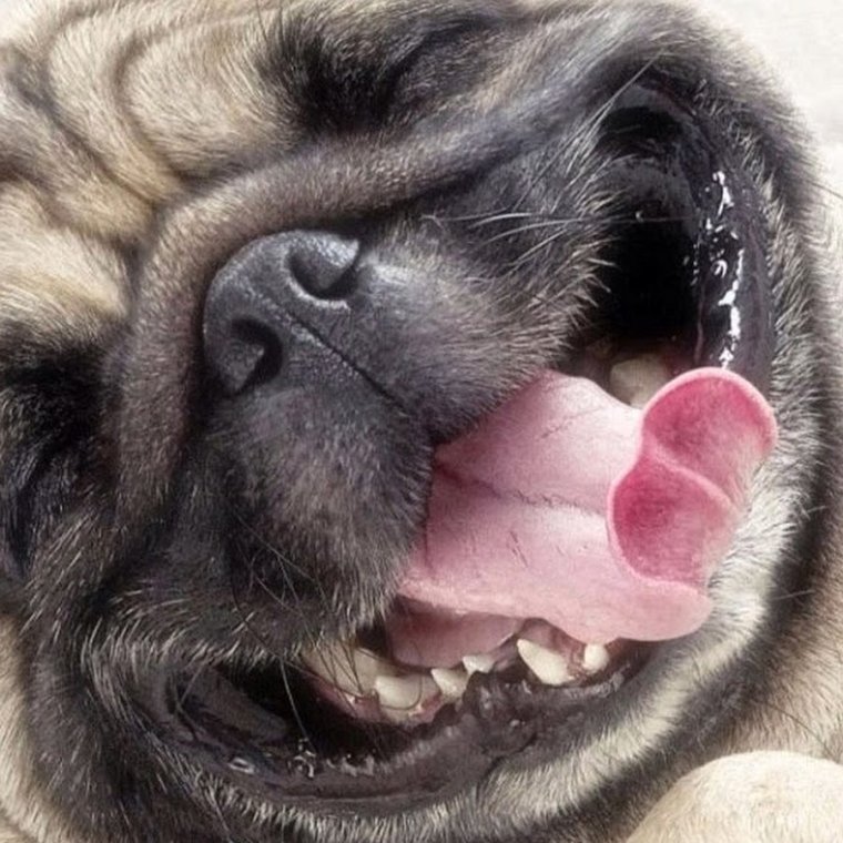 Позитивного утра понедельника