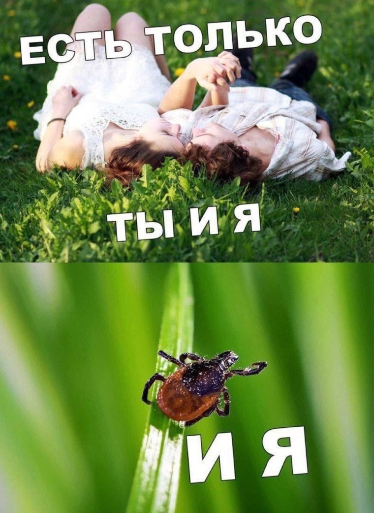 Иксодовый клещевой боррелиоз