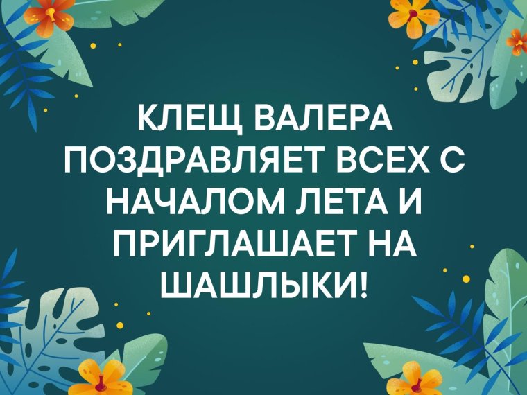 Клещ Валера приглашает на шашлыки