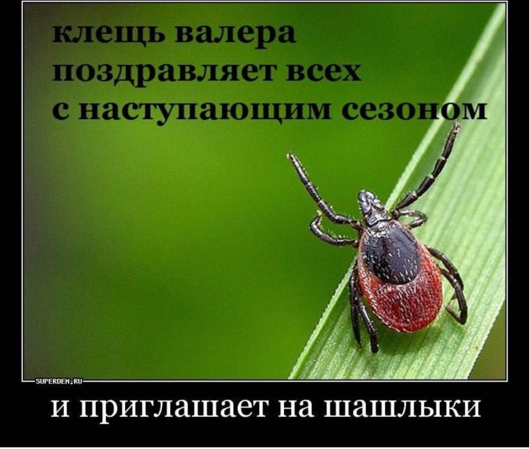 Клещ Валера