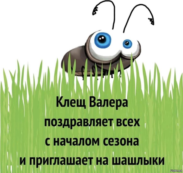 Клещ Валера и Эльвира