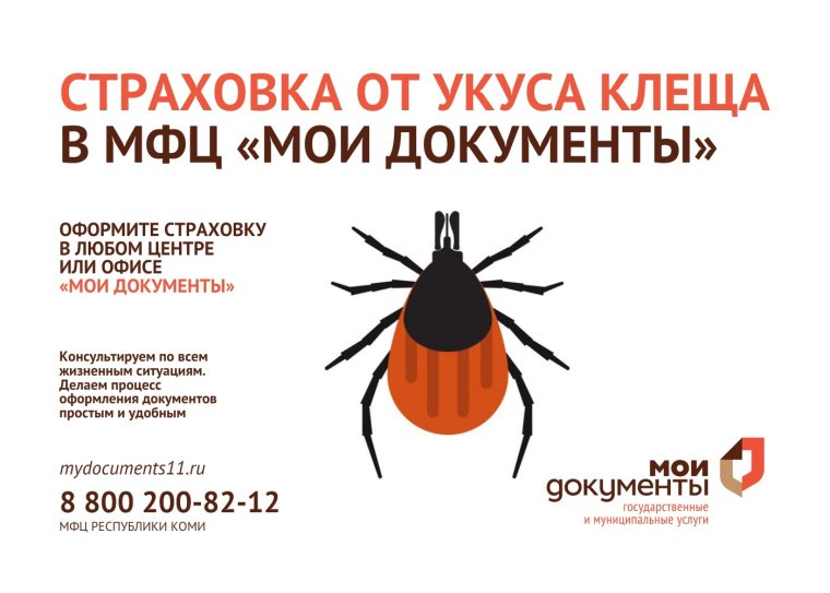 Клещ полосатый Энцефалитный