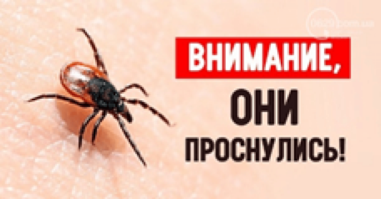 Внимание клещи