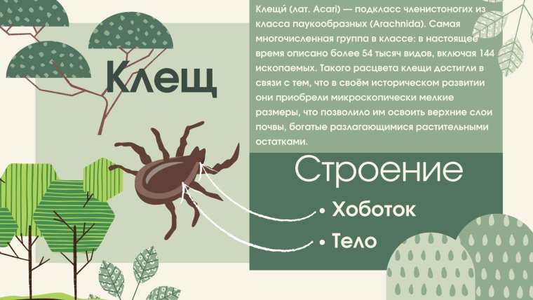 Страхование от укуса клеща