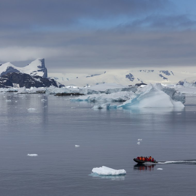 Монстры Антарктиды