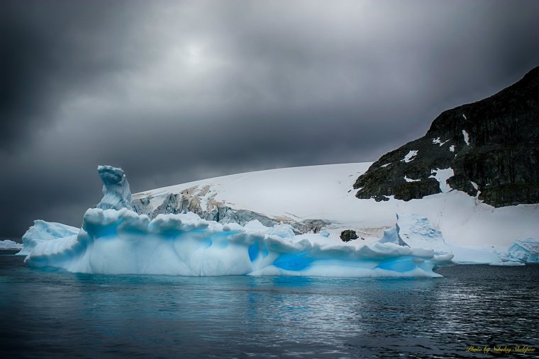 Плазмозавр Антарктида