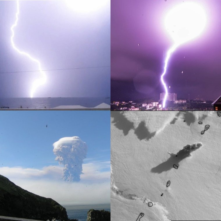 Монстры Антарктиды — плазмозавры