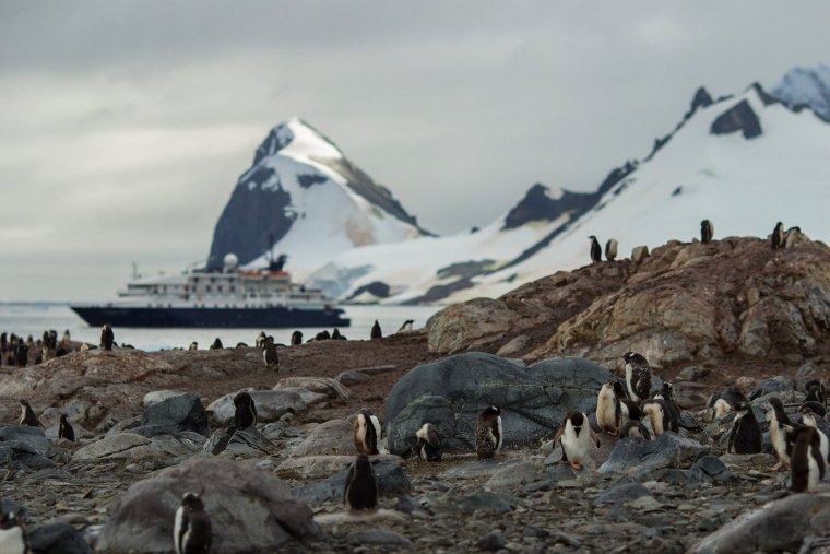 Монстры Антарктида крионы
