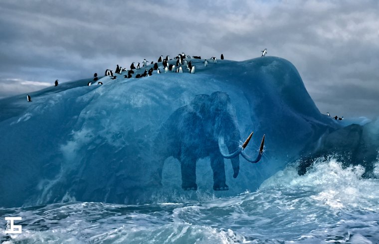 Табиати Антарктида