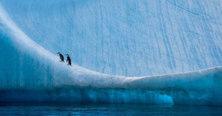 Протерозойская Эра климат Ледниковый период