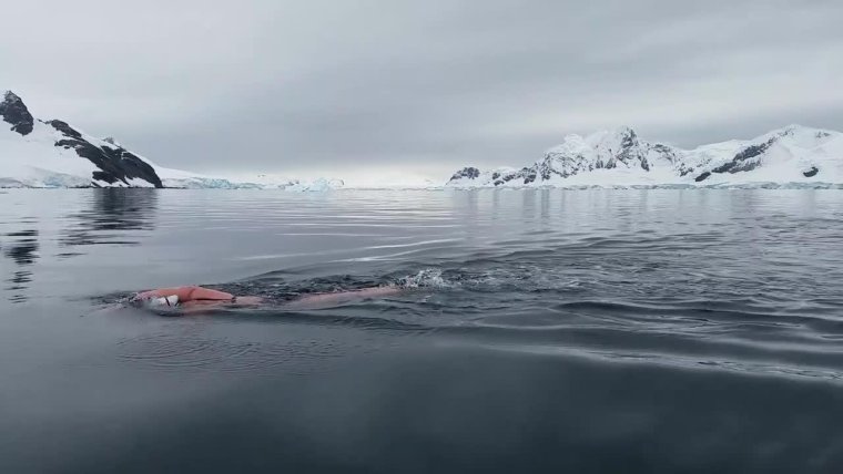 Монстры Антарктиды — плазмозавры