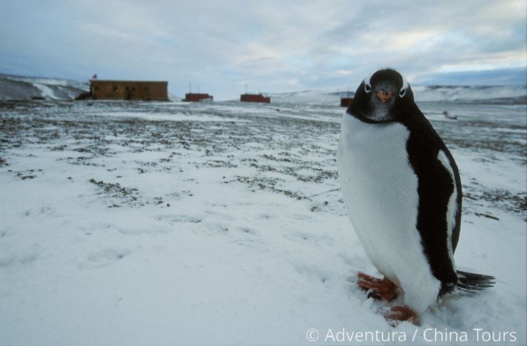 Карское море