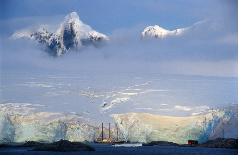 Туунбак Арктический монстр