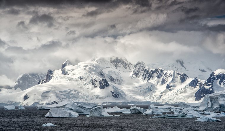 Мамонт во льду