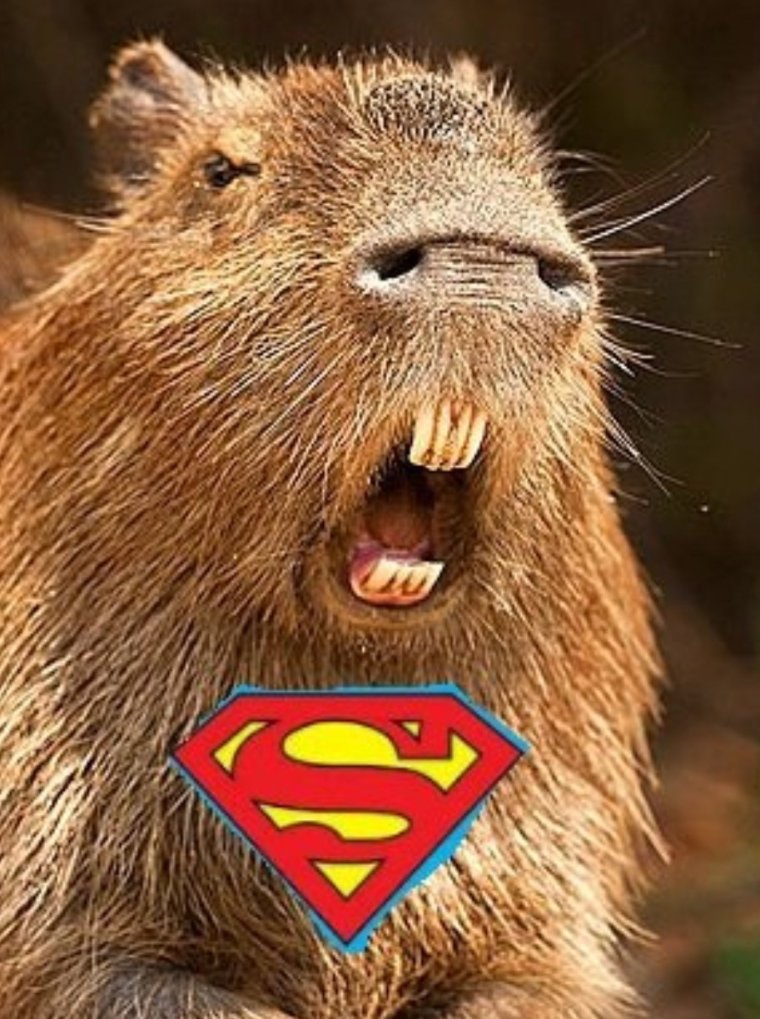 Упоротый бобер