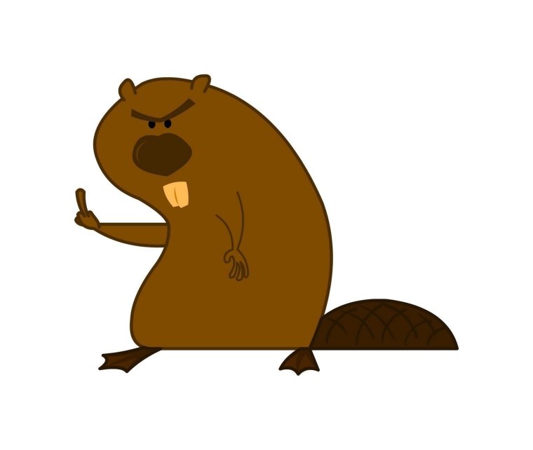 Ванкуверский сурок